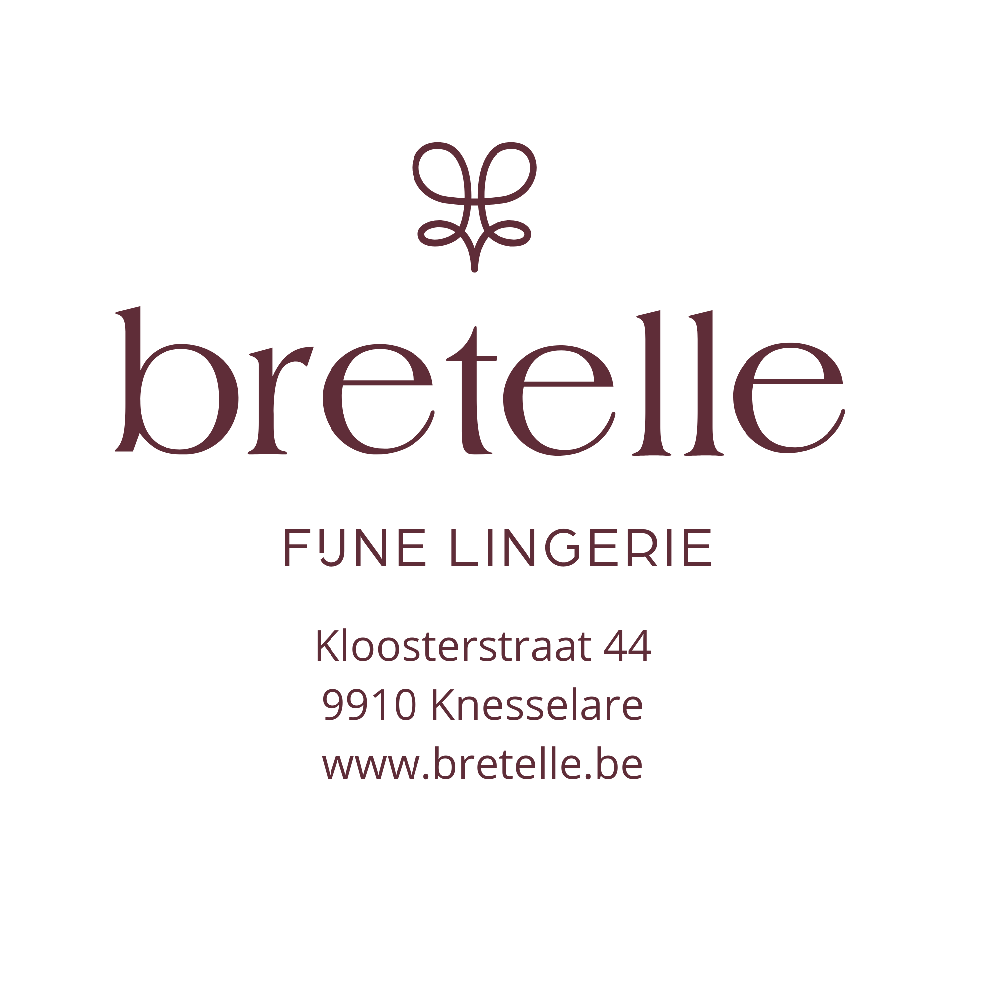 https://vrouwennet.be/uploads/markante-zaken/Dalle-Lieve-Bretelle-Markante-zaken-logo.png