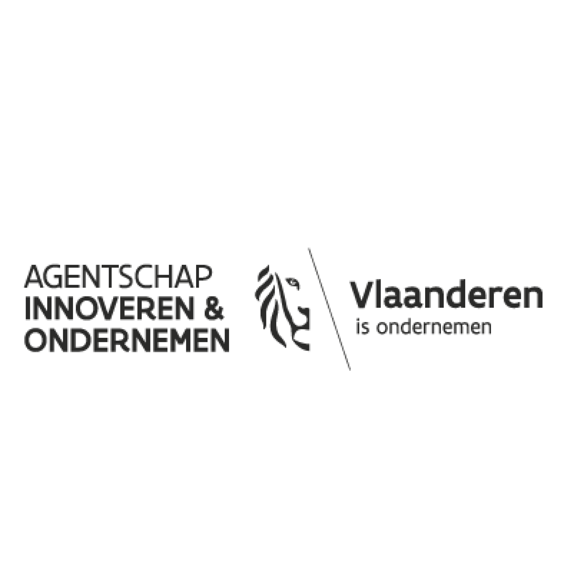 Logo Vlaanderen is ondernemen lang 400x400px
