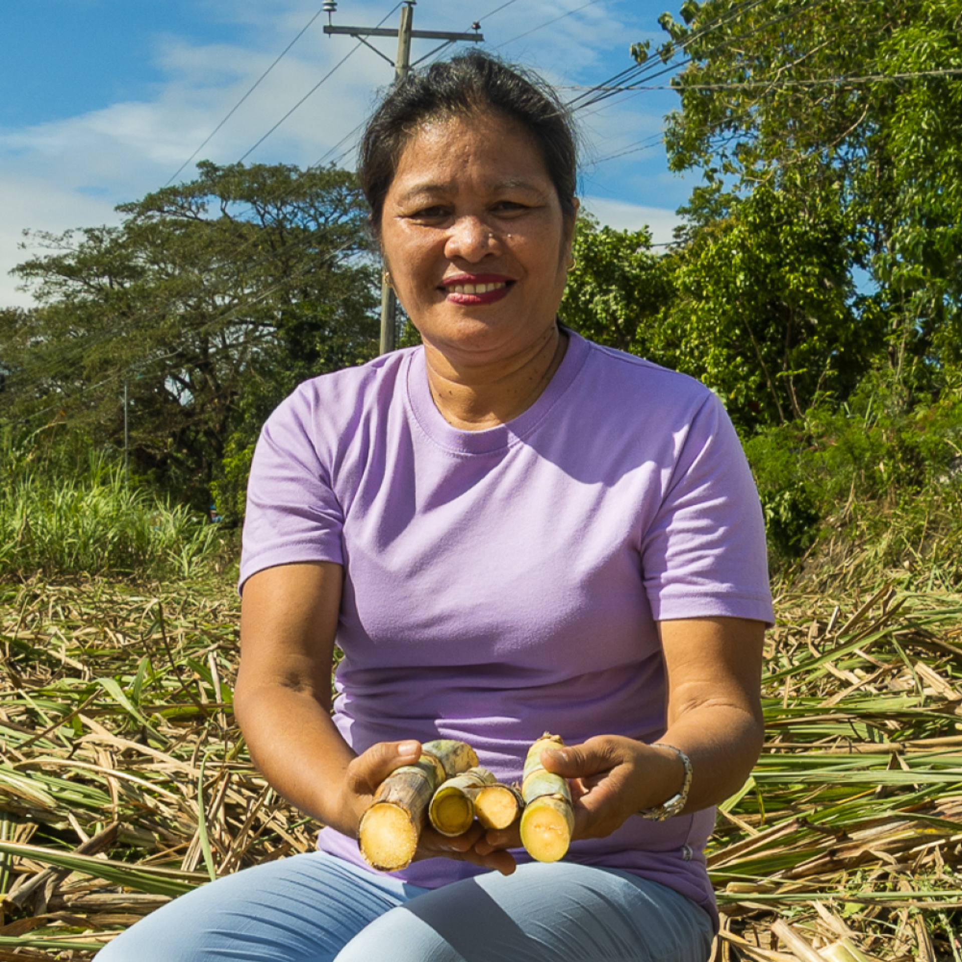 Website finaliste WOMED Award International Joecel Palacios Sugar Rice